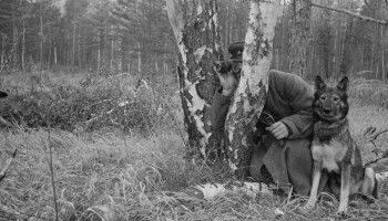 5 мифов о начале Великой отечественной от военного историка Алексея Исаева