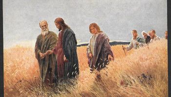 Суббота для человека