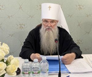 Митрополит Иоанн принял участие в заседании комиссии Межсоборного присутствия по церковному управлению, пастырству и организации церковной жизни