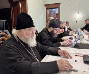 Митрополит Иоанн принял участие в заседании комиссии Межсоборного присутствия по церковному управлению, пастырству и организации церковной жизни