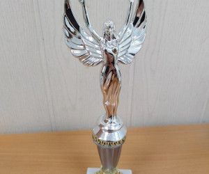 Подведены итоги третьего регионального конкурса «Лидеры НКО Белгородской области»