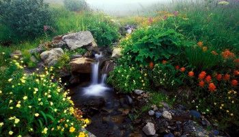 Вода живая
