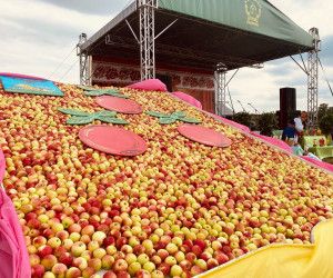 Фестиваль-ярмарка прошёл в Корочанском районе в праздник Преображения Господня